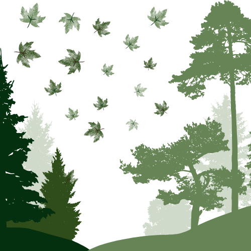 GROUPEMENT FORESTIER Val aux Vignes(4)